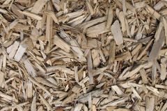 biomass boilers Burnworthy