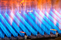 Burnworthy gas fired boilers